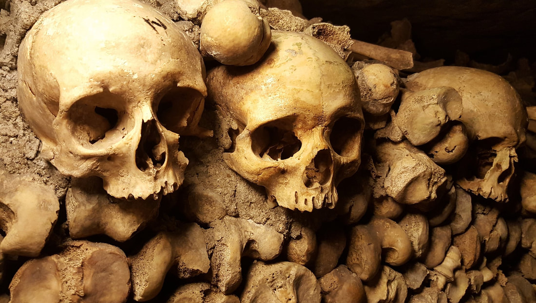 Catacombs Skulls